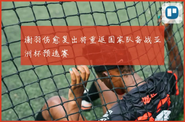 谢羽伤愈复出将重返国家队备战亚洲杯预选赛